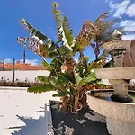 Náutico - Boutique Homes - Center - Adults Only